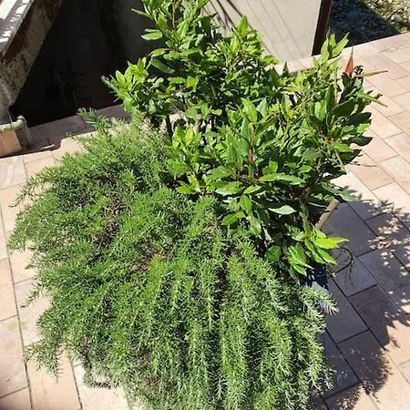 Casa Del Golfo Apartment